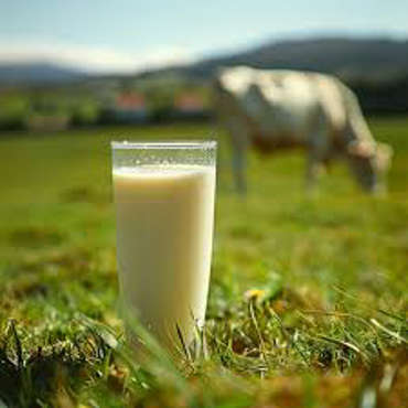 Picture for category FRESH MILK