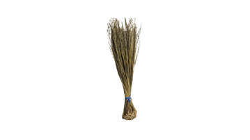 Picture of BANSI JAHRO