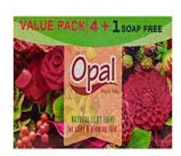 Picture of OPAL NATURAL SILKY SHINE 5 IN 1 PACK