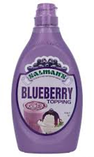 Picture of SALMAN'S BLUEBERRY FLAVOURED TOPPING 623GM