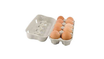 Picture of DESI EGGS 12 PC