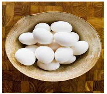 Picture of EGG
