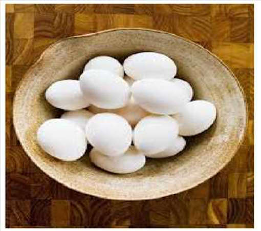 Picture of EGG