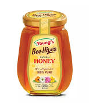 Picture of YOUNG'S BEE HONEY 250G BOTTLE