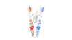 Picture of CARTOON TOOTH BRUSH SSH 062