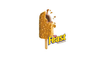 Picture of FEAST CARAMEL 1PC 