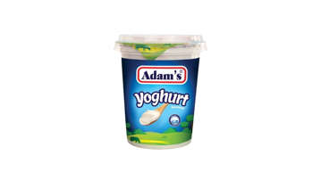 Picture of ADAM'S PLAIN YOUGERT 400G