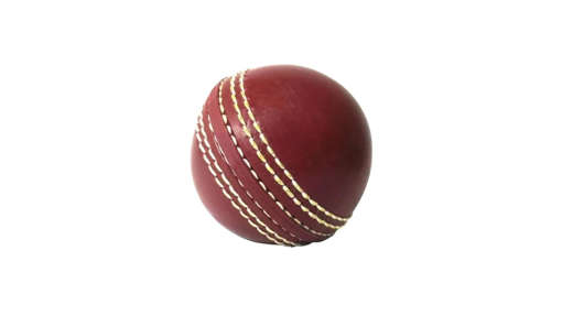 Picture of CRICKET SALAI BALL MASTER 1PC 