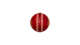 Picture of BO PATHAN+KEENU MIX CRICKET BALL 